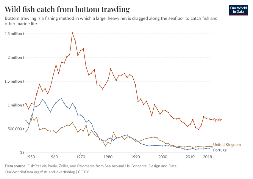 Wild fish catch from bottom trawling