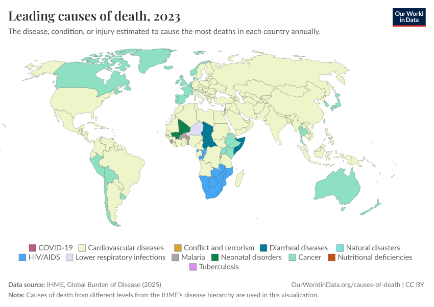A thumbnail of the "Leading causes of death" chart